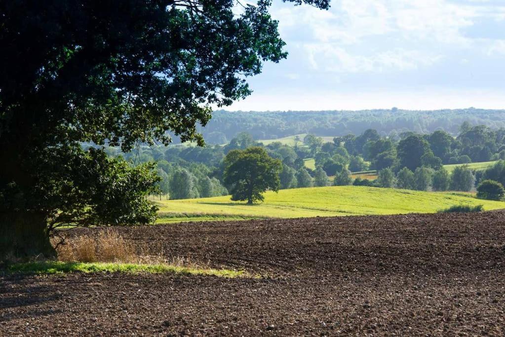 The Stables, Relax In 5 Star Style And Comfort With Lovely Walks All Around Maplestead Kültér fotó